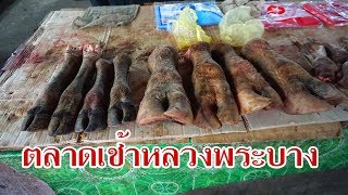 เที่ยวลาว 2018 EP#5 ตลาดเช้าหลวงพระบาง เลือดยัดไส้