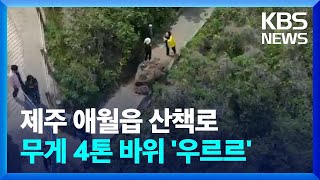 4톤 바위가 관광지 산책로에 ‘뚝’…2년 전에도 낙석 사고 / KBS  2023.05.12.