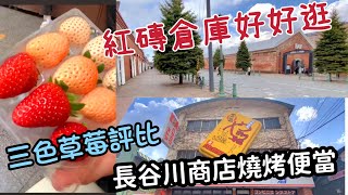 日本東北自由行EP12   文青風金森紅磚倉庫｜函館名物長谷川商店超好吃便當｜三色草莓哪個好吃？