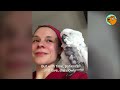 comedian parrot dances and sings like star of her show cuddle buddies