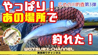 中規模河川釣査第3弾☆オイカワに大苦戦？