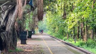 16325 Nilambur Kottayam express skipping Cherukara railway station 💚