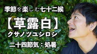 『草露白〜七十二候〜』今日は、9月7日,二十四節気は白露、七十ニ候は草露白（クサノツユシロシ）に入りました。四季の流れにそって暮らすことで、自然と人生の流れも良くなってきます。