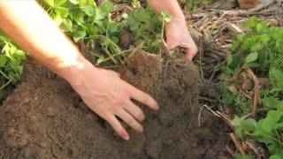 Chapter 7: The hope in healthy soil—Off-farm benefits