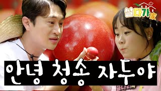 [라이브오늘_살다가] 청송군 진보면 괴정1리 1부 | KBS대구 230802