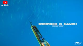 Spearfishing in Summer II  -  Azores 2023