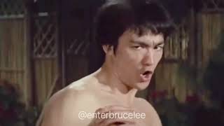 Bruce Lee “ The Art of Expressing the Human Body via Martial Arts “