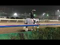 2018.11.9 船橋🐎11r 誘導馬 チャラオ