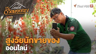 สูงวัยนักขายของออนไลน์ | Localist ชีวิตนอกกรุง