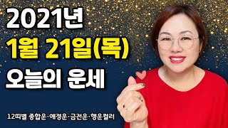 1월 21일(목) 오늘의 운세 🦋 종합운•애정운•금전운