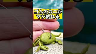 これに騙される魚は多いぞ！ゴムのカニがヤバイ#shorts