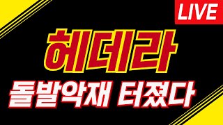 [헤데라] 긴급속보! \