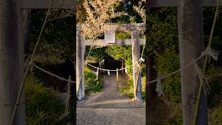 熊野神社 熊本市北区植木町