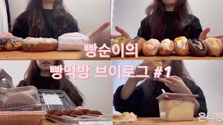 빵먹방 브이로그#1)디저트로 빵먹는 빵순이의 첫 영상😽 / 던킨도너츠 / 청주오믈렛 / 씨유 / 스타벅스