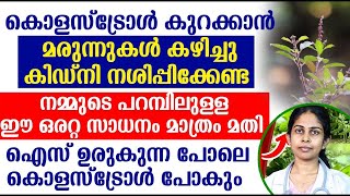 നമ്മുടെ പറമ്പിലുള്ള ഈ ഒരറ്റ സാധനം മാത്രം മതി ഐസ് ഉരുകുന്ന പോലെ കൊളസ്ട്രോൾ പോകും