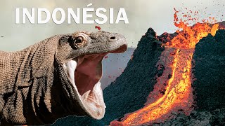 Indonesia: Exploring Paradise in the Land of Fire