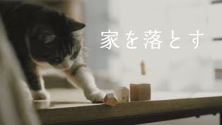 【猫の生活】テーブルの端にある物を落とす猫