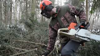 Работа с бензопилой Stihl ms 361. Сбиваю зависшее дерево. Felling trees. Work in the forest.