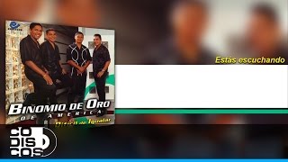 Mi Bendita Ley Gitana, Binomio De Oro De América - Audio