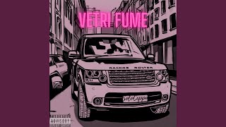 VETRI FUME'