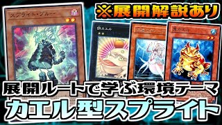 【遊戯王ADS】展開ルートで学ぶ カエル型スプライト【デッキ紹介\u0026展開解説】