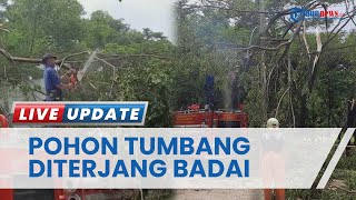 Puluhan Pohon Tumbang di Kawasan Kampung Budaya Karawang Usai Diterjang Angin Badai, 3 Atap Terbang