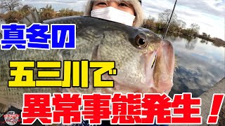 真冬の五三川でありえない釣果を叩き出した！【バス釣り】