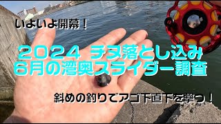 #TEAM波止歩っ歩 ２０２４ チヌ落とし込み・ヘチ釣り ６月の湾奥スライダー調査