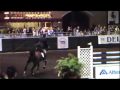 mr whoopy $100 000 delmar 2010.mp4