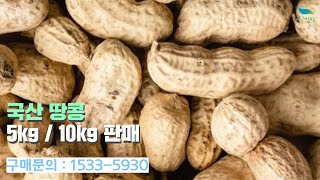 [신바람 농산물 협력농가 판매상품 1533-5930  (신선마켓.com)]국산 땅콩 5kg / 10kg 판매합니다