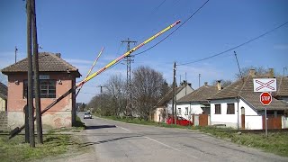 Spoorwegovergang Svetozar Miletić (Светозар Милетић) (SRB) // Railroad crossing // Железнички прелаз