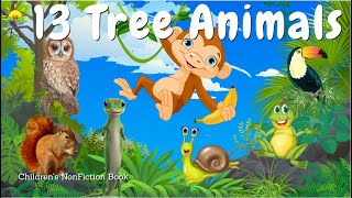 13 Animals live on Trees- Tree animal, who lives on tree - Jungle animal - Kids Learning E book - #8