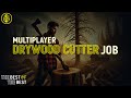 DEVHUB - MULTIPLAYER DRYWOOD CUTTER JOB (Fivem)