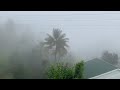 hill partridge resort munnar by hawk hospitality anachal idukki