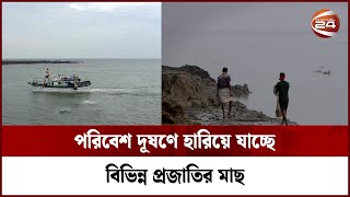 পরিবেশ দূষণের ফলে জেলেদের জীবন জীবীকার প্রভাব | SWIA 2021 Environment | Channel 24