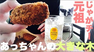 【岡山県津山市】あっちゃんの大きな木【持ち帰り専門店】