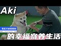 这才是忠犬八公的原型！