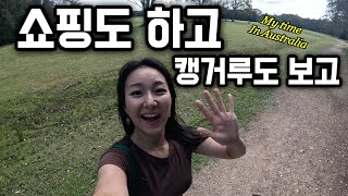 늦깎이 호주 워홀러가 보내는 holiday 🦘🐨🇦🇺🤷‍♀️ (in Australia)