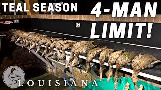 SOUTH LOUISIANA Teal Hunting 4-Man LIMIT! Evening Hunt!