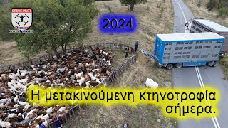 Η μετακινούμενη κτηνοτροφία.