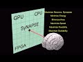 doe csgf 2015 synapse and cortical processor