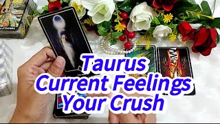 Taurus Current Feelings Of Your Crush 🥰 Next Action ☎️ Tarot reading #currentfeelingsofyourpartner