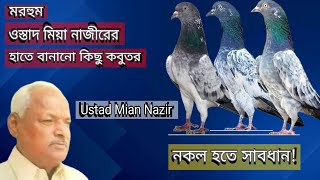 মরহুম ওস্তাদ মিয়া নাজীরের হাতে বানানো কিছু কবুতর | Late Ustad Mian Nazir's Pigeon