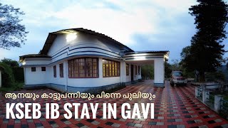 One Night Stay In Gavi KSEB IB | ആനയും കാട്ടുപന്നിയും പുലിയുമുള്ള ഗവി