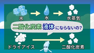 二酸化炭素（ドライアイス）は融けて液体にならないの？状態図とは