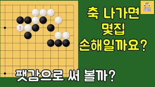 축이 아닌데 나가면 몇 집 손해일까? 이걸 알아야 팻감으로 사용하지요~ - 축 관련 궁금증 해소