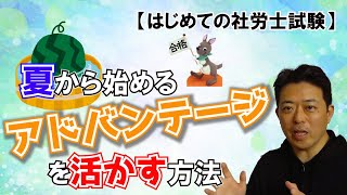 【はじめての社労士試験】夏から始めるアドバンテージを活かす法