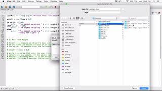 3.5. Mass and Weight - Python