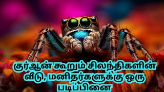 🕷🕸#குர்ஆன்#கூறும்#சிலந்தி#வீடு#பலவீனம்#படிப்பு#இஸ்லாமிய#அல்லாஹ்#அற்புதம்#அறிவியல்#பாடம்#kuwaitnews