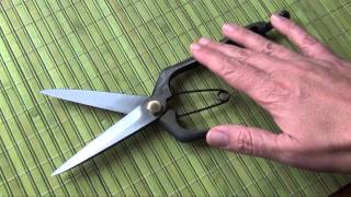 Japanese pruning shears - Japanese secateur-scissors